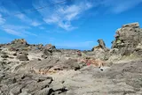 ゴジラ岩