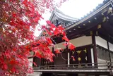 仁和寺