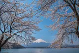 河口湖