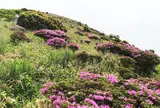涌蓋山
