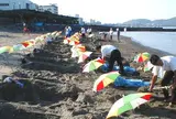 砂むし会館 砂楽