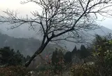 民宿焼畑