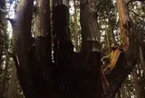 祇園山