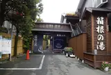 湯遊び処・箱根の湯
