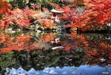醍醐寺