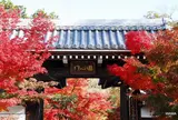 永観堂（禅林寺）