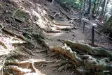 鞍馬山から鞍馬寺へ下る
