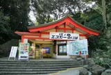 江ノ島エスカー