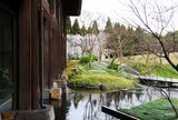 梅小路公園 朱雀の庭