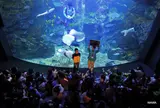 京都水族館