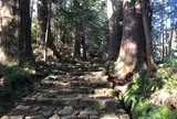 熊野古道大門坂