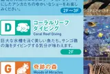 コーラルリーフダイビング