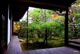 法音院