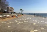星越海岸