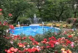 花巻温泉バラ園