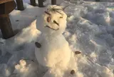 たざわ湖スキー場