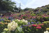 形原温泉あじさいの里