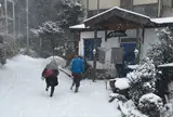 ビストロインえばーぐりーん