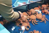 竹島水族館