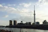 スカイツリー