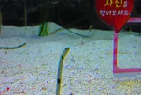 ロッテワールド