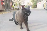 中央公園