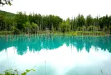 青い池