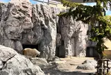 旭川市 旭山動物園