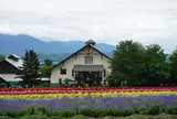 ファーム富田