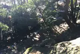 芝公園渓谷部分