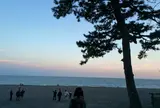 三保の松原