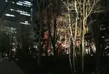 大手町の森