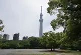 隅田公園