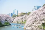 千鳥ヶ淵