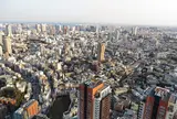 六本木ヒルズ