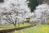 いすみ鉄道