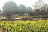 芦花公園&蘆花恒春園