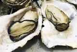 焼がきの はやしの