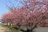 畑毛せせらぎ公園