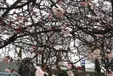 渚親水公園・ムーンテラス