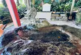 青島神社 手水舎