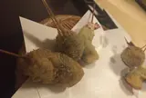 はん亭 根津本店