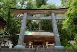 丹生川上神社下社 御神木(欅)