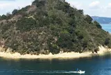 大崎の鼻