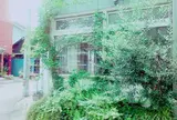 ドー・ドーナツ