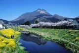 湯布院温泉