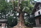 来宮神社