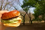 代々木公園