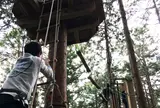 フォレストアドベンチャー・箱根