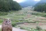四谷千枚田
